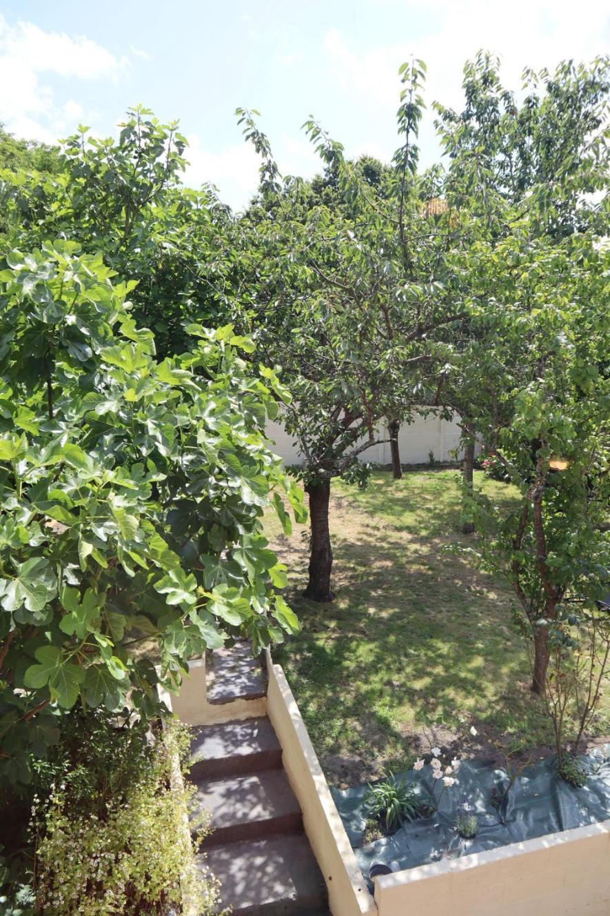 Le Domaine Des Figuiers - Des Pelerins Servon (Manche)